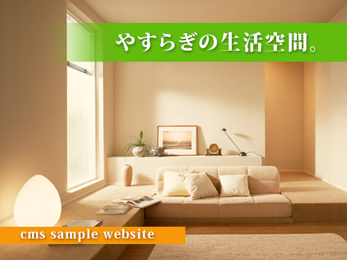 人に優しい情報システム ニュージャパンナレッジ